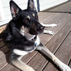 Meet your Posher, Gail